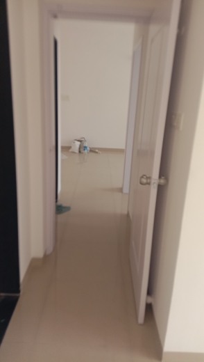 2 BHK Apartment For Rent in Rama Celestial City