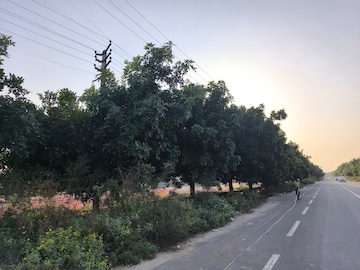 Plot Area in  Plot at Pataudi – for Sale