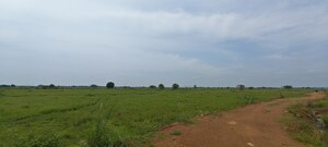 Plot Area in  Plot at Patrapada – for Sale