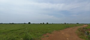 Plot Area in  Plot at Patrapada – for Sale