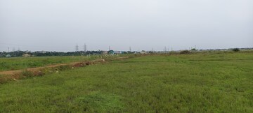 Plot Area in  Plot at Patrapada – for Sale