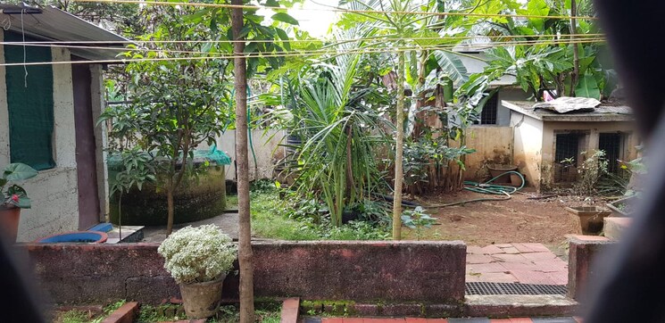 Garden, avenue road 6 Bedroom 3400 Sq.Ft. Independent House In Avenue Road Thrissur 9309814