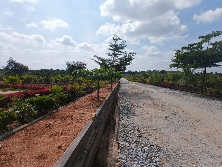 undefined, chikkaballapur  2400 Sq.Ft. Plot In Chikkaballapur Bangalore 9309844