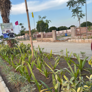  Plot – Exterior View View at Vatika Road - for Sale