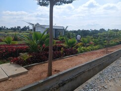 Plot For Sale in Chikkaballapur