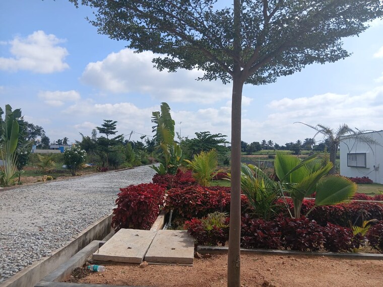 undefined, chikkaballapur  3000 Sq.Ft. Plot In Chikkaballapur Bangalore 9310104