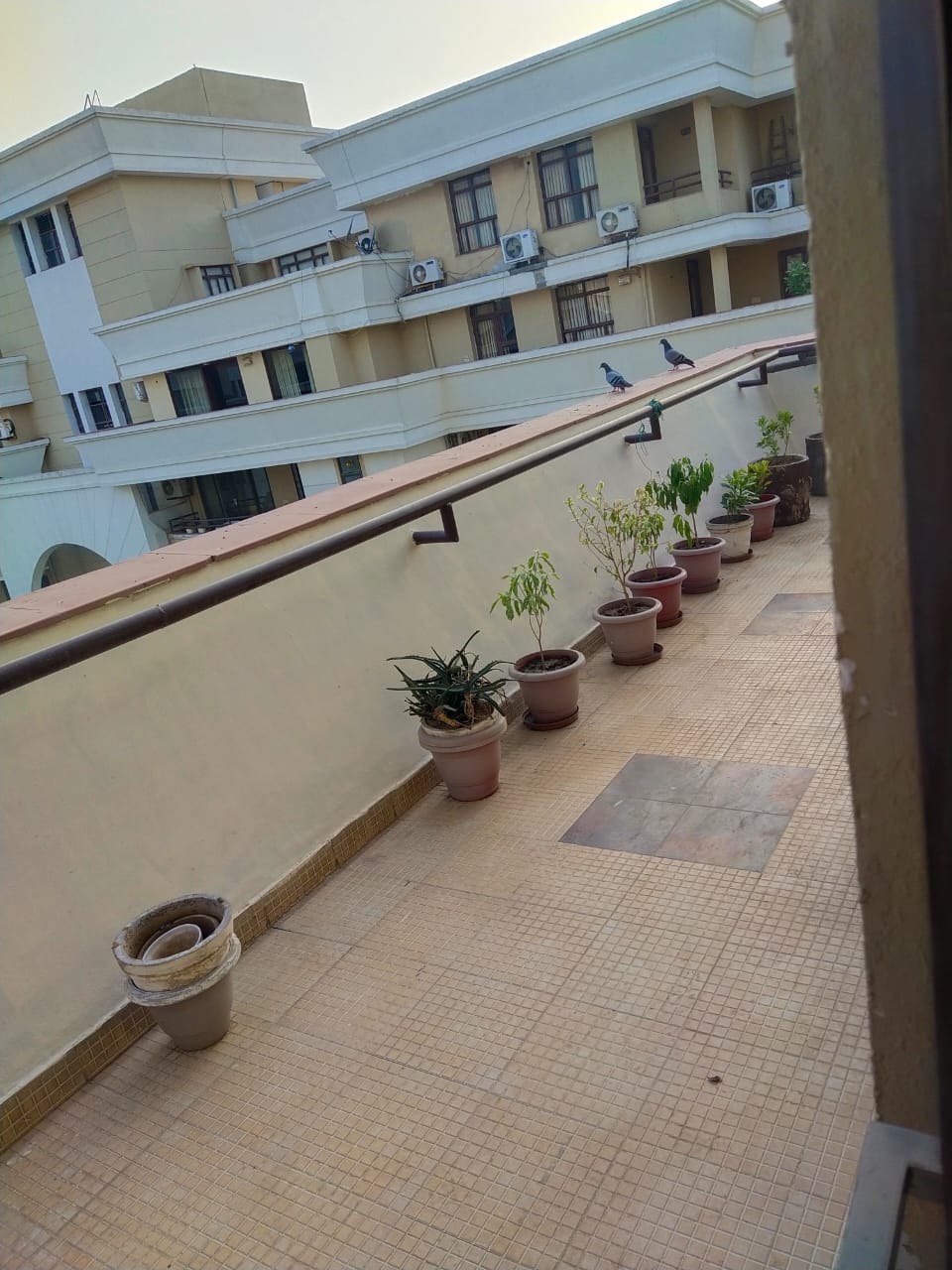 3 BHK + Servant Room 2450 Sq.Ft. Apartment in Vipul Belmonte