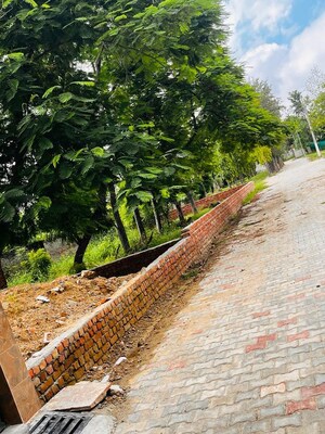 Plot Area in  Plot at Bhondsi – for Sale