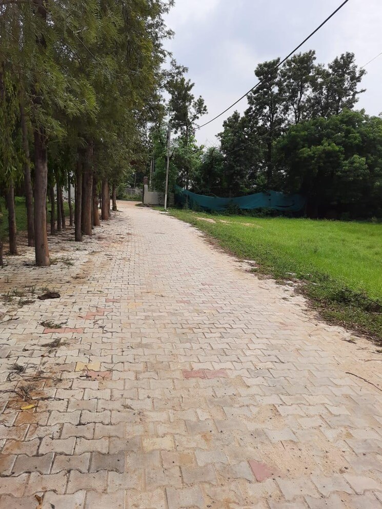 undefined, bhondsi  1800 Sq.Ft. Plot In Bhondsi Gurgaon 9310699