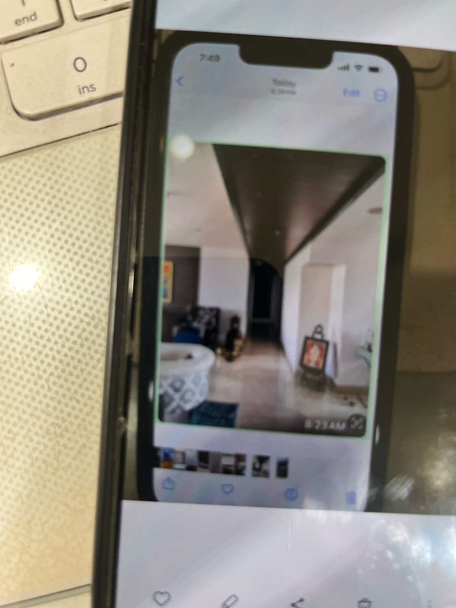 4 BHK + Servant Room Penthouse For Sale in Salcon The Verandas