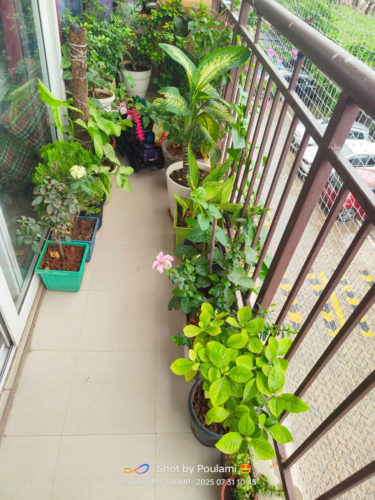 Balcony, avl-36-gurgaon 1 Bedroom 392 Sq.Ft. Apartment In Sector 36 Gurgaon 9311354