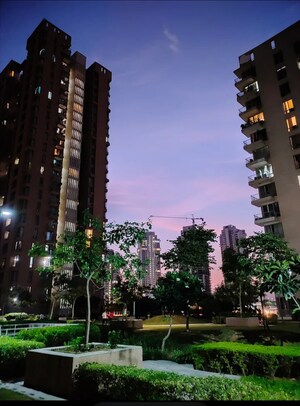 2 BHK Apartment – Exterior View View at Pioneer Park Phase 1, Sector 61 - for Sale