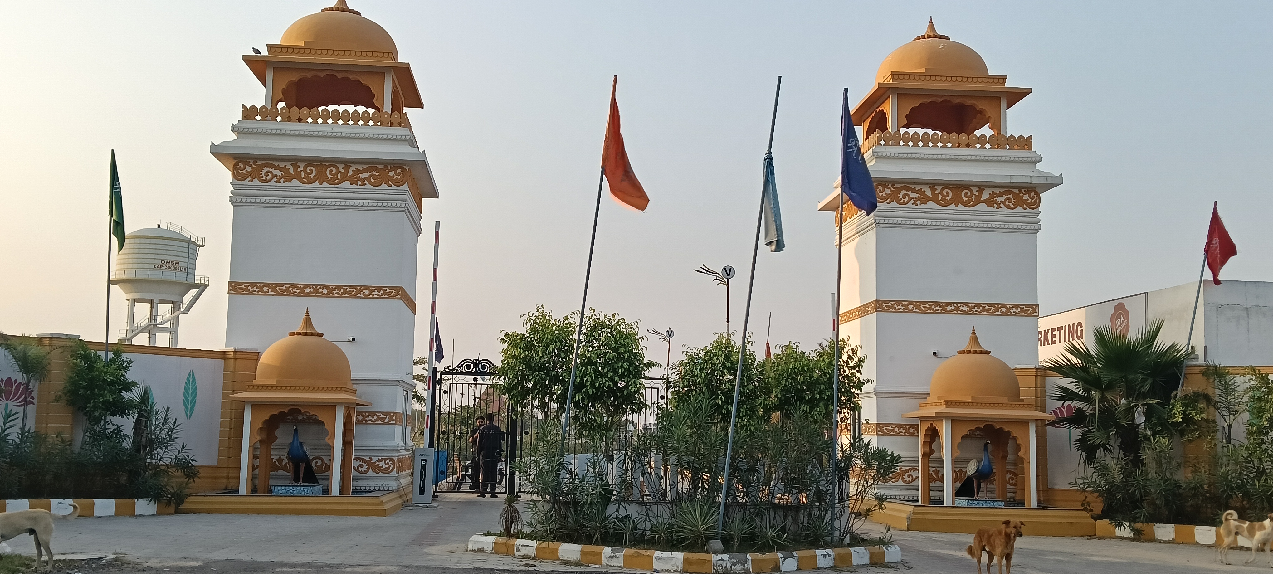 Plot For Sale in Riyasat Aavaran 