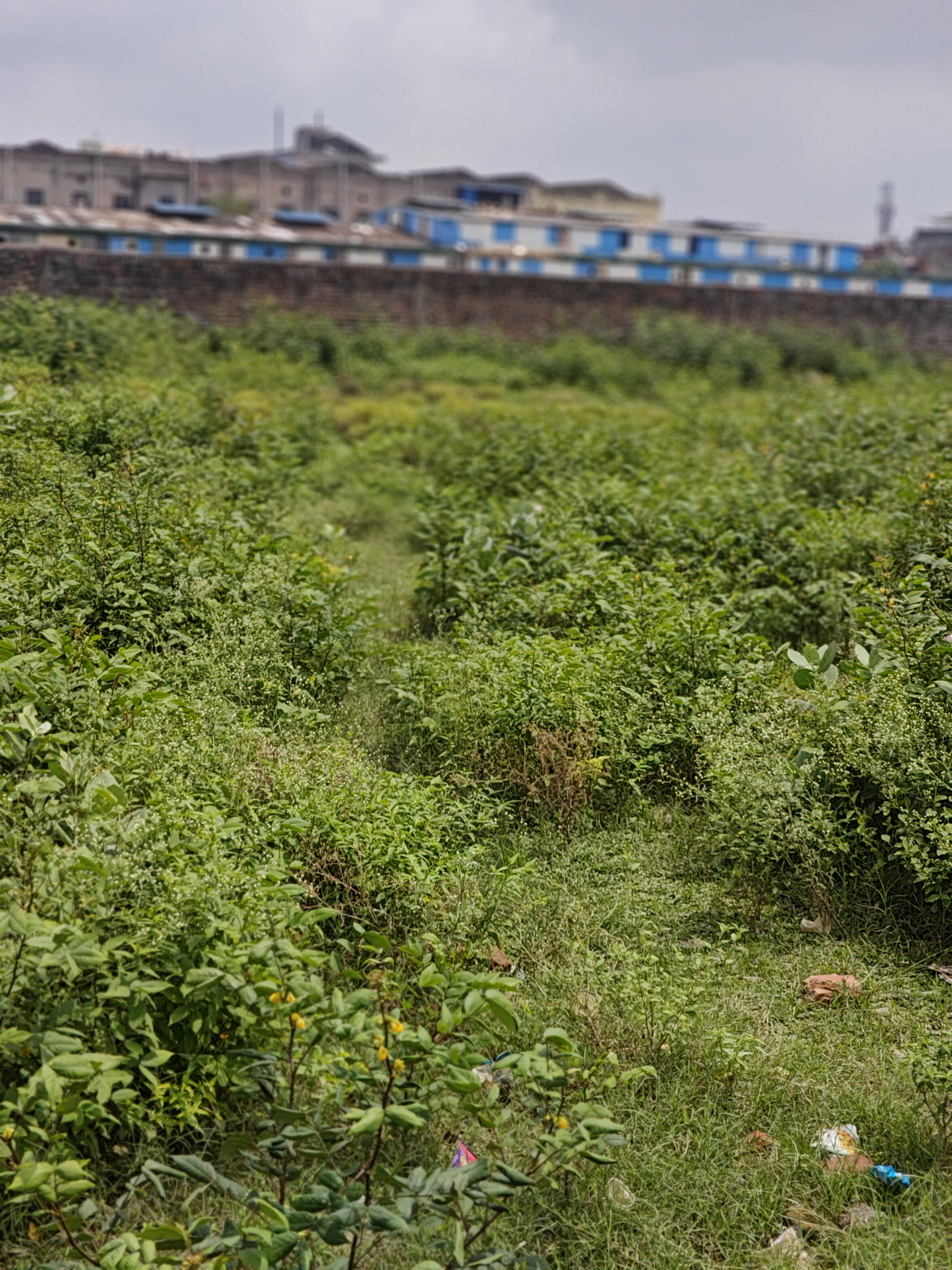 Plot For Sale in Industrial Area