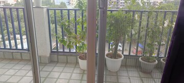 Balcony in 2 BHK Builder Floor at Sector 40 – for Rent