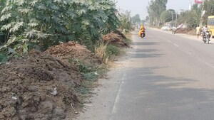  Plot For Sale in Tappal