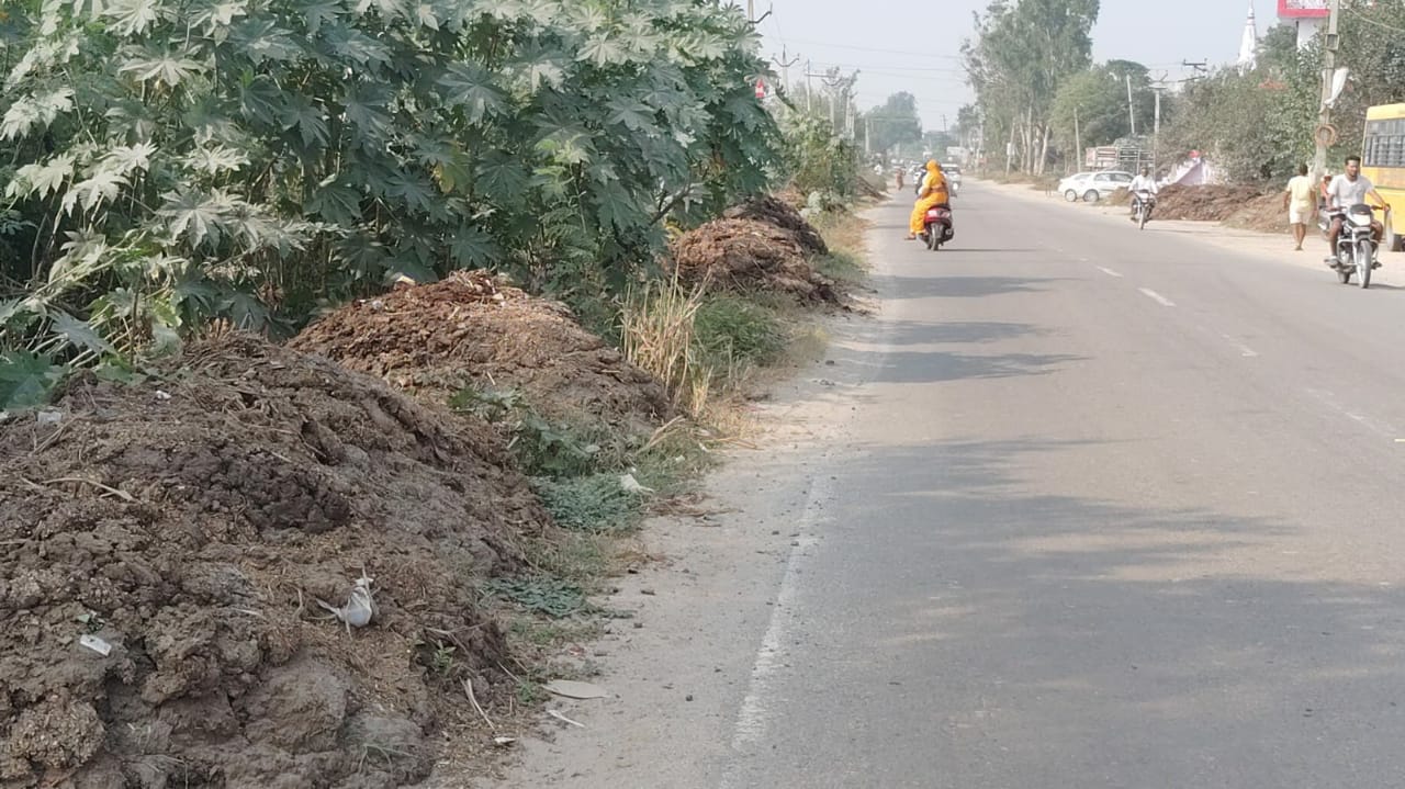 Plot For Sale in Tappal