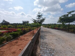 Plot Area in  Plot at Chikkaballapur – for Sale