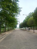 170 Sq.Yd. Plot in Sector 40