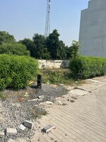 118 Sq.Yd. Plot in Sector 84