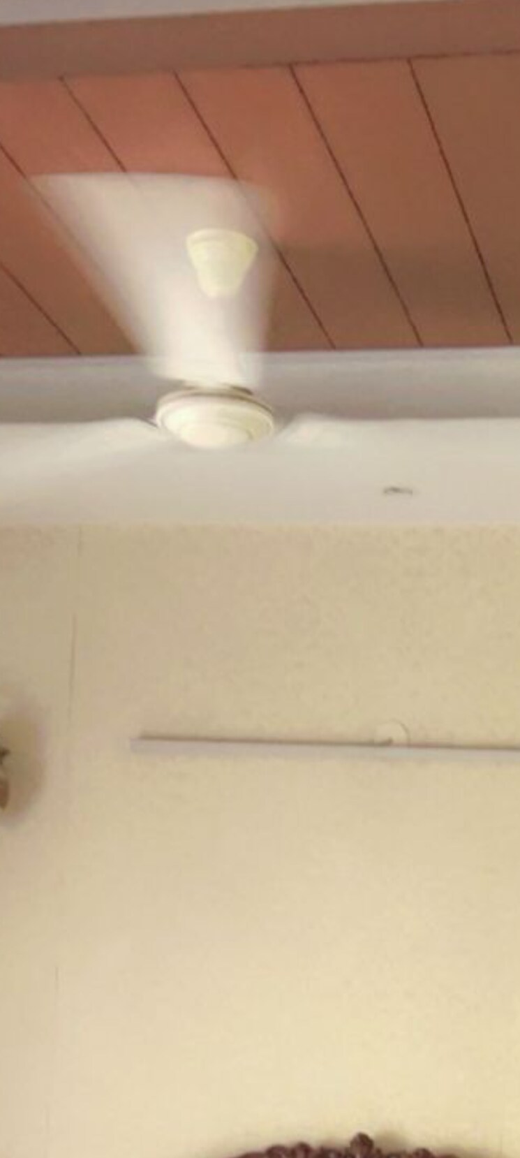 Room, rwa-apartments-sector-40 3 Bedroom 1500 Sq.Ft. Independent House In Sector 40 Noida 9312133