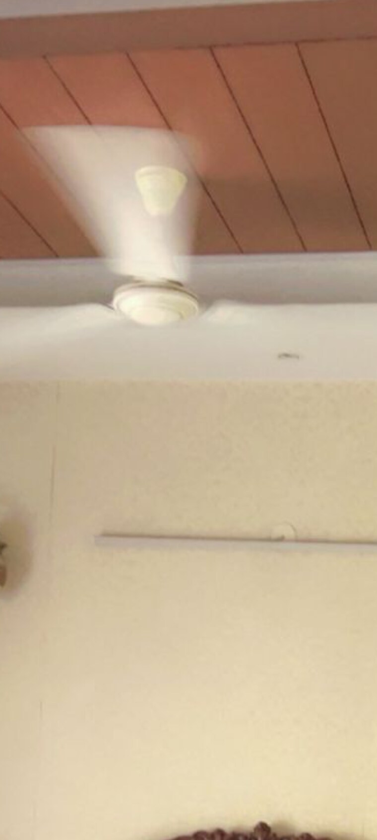 Room, rwa-apartments-sector-40 3 Bedroom 1500 Sq.Ft. Independent House In Sector 40 Noida 9312133