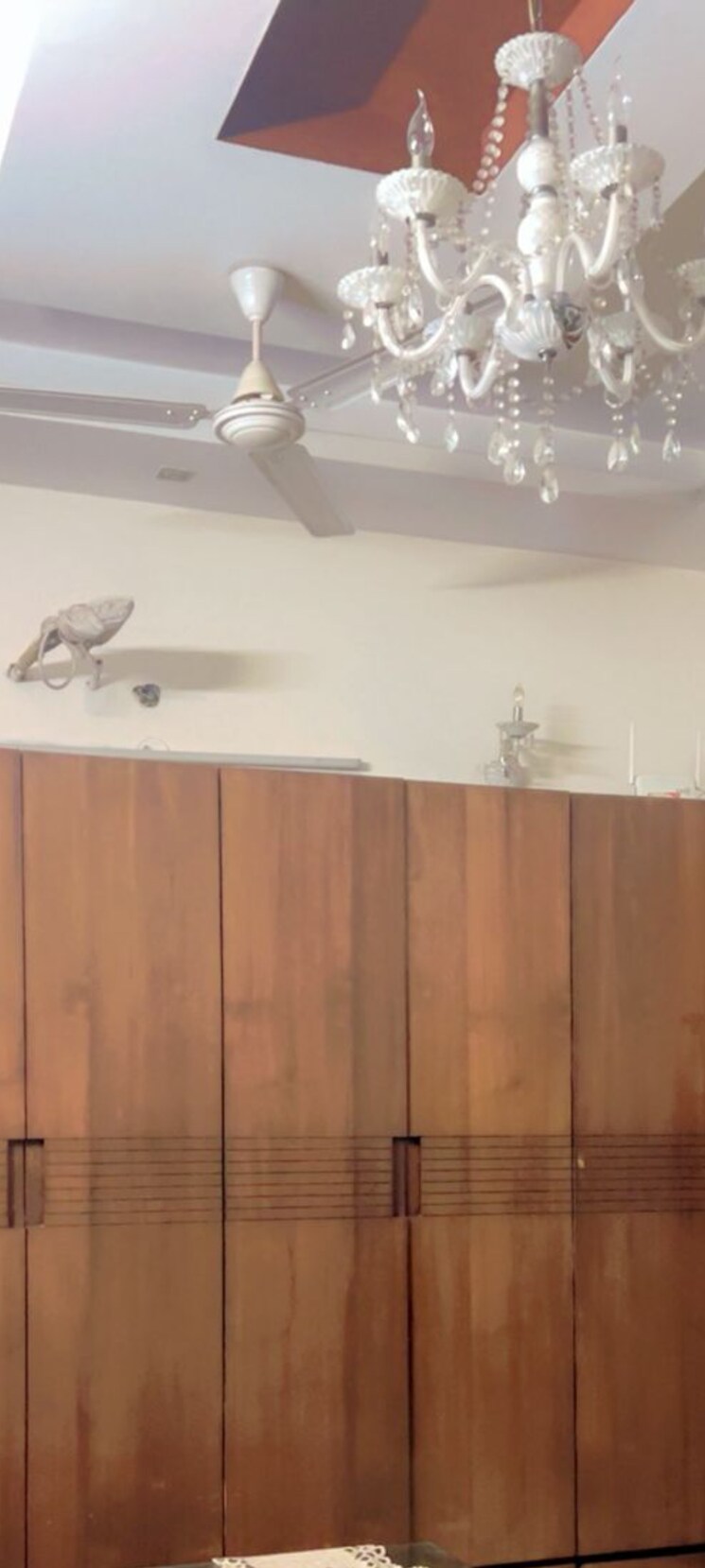 undefined, rwa-apartments-sector-40 3 Bedroom 1500 Sq.Ft. Independent House In Sector 40 Noida 9312133