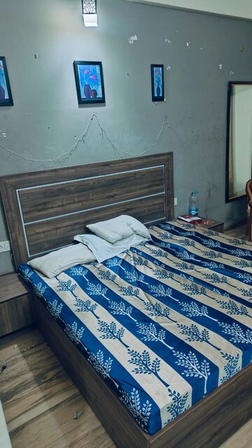 1 BHK Apartment For Rent in Paramount Golfforeste, Zeta I Greater Noida