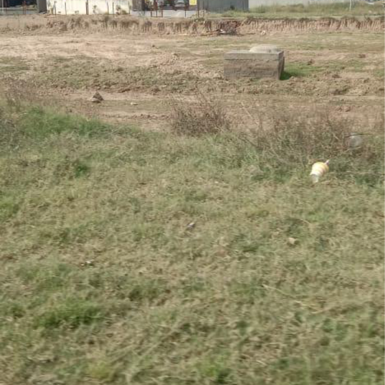 undefined, sector 66 b  200 Sq.Yd. Plot In Sector 66 B Mohali 9312175