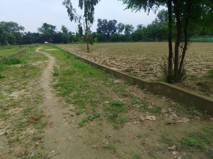 undefined, arsha-madhav-greens  600 Sq.Ft. Plot In Gomti Nagar Lucknow 9312366