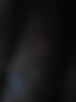 265 Sq.Ft. Retail Shop in Hiranandani Estate Flora