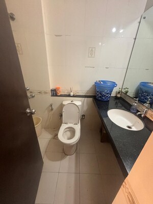 Attached Bathroom in 1 BHK Apartment at Sapphire Lakeside, Powai – for Rent
