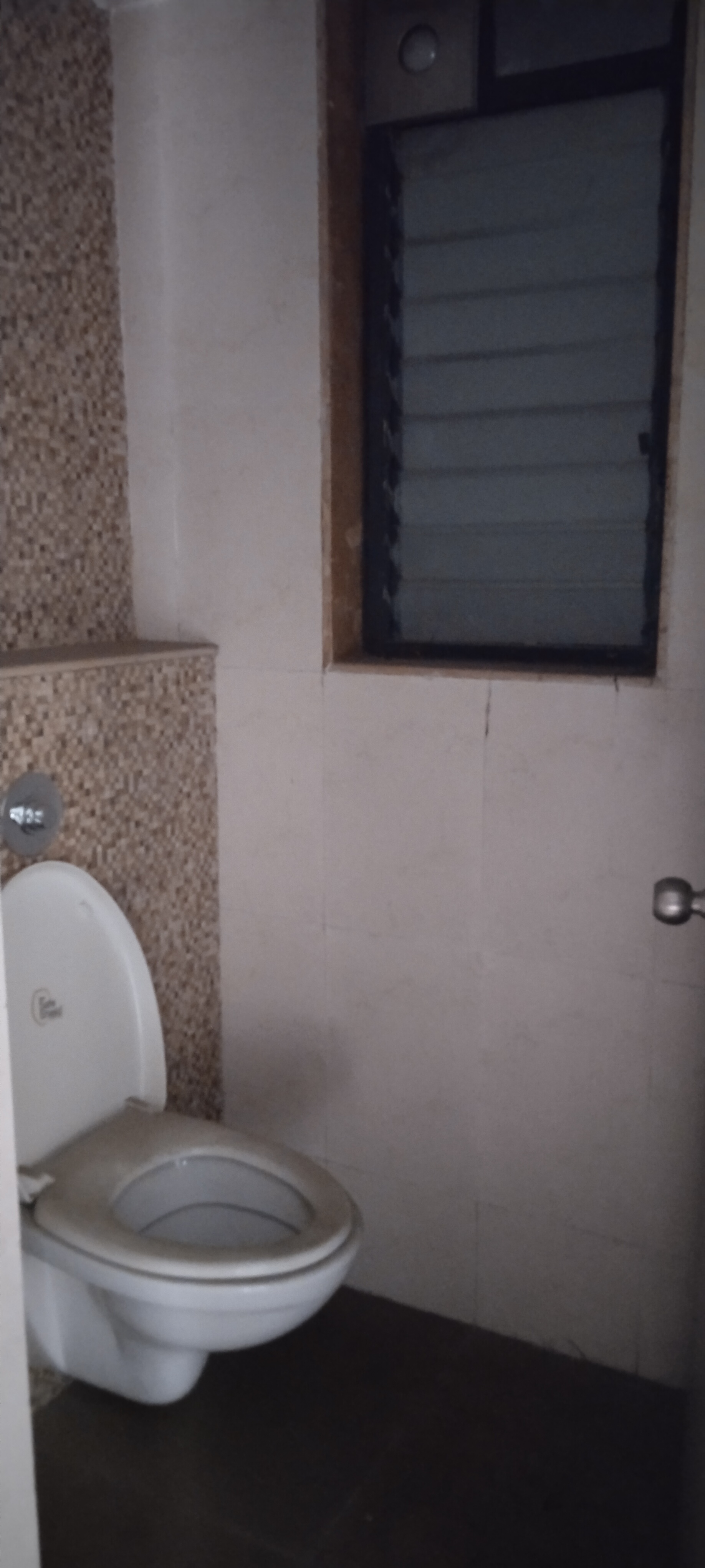 1 BHK Apartment For Rent in Lodha Lakeshore Greens