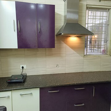 Kitchen in 2 BHK Apartment at Canal Road – for Rent