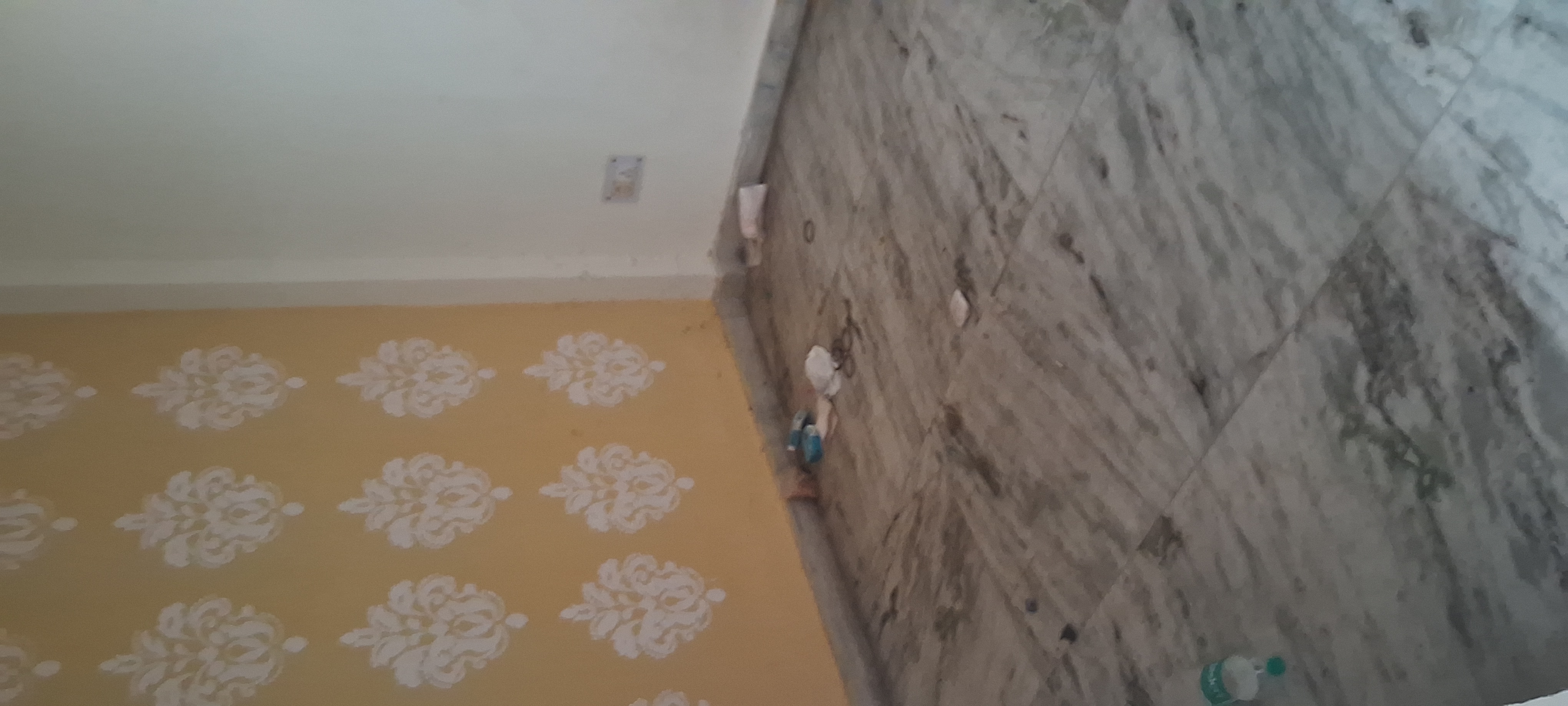 2 BHK Builder Floor For Rent in Laxmi Nagar