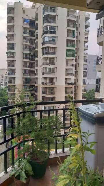 2 BHK Apartment – Exterior View View at Gardenia Grace, Sector 61 - for Rent
