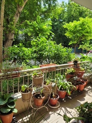 Balcony in 3 BHK Apartment at Bestech Park View Spa, Sector 47 – for Rent