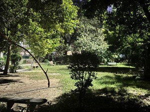 3 BHK Builder Floor – Garden View at Safdarjung Enclave - for Sale