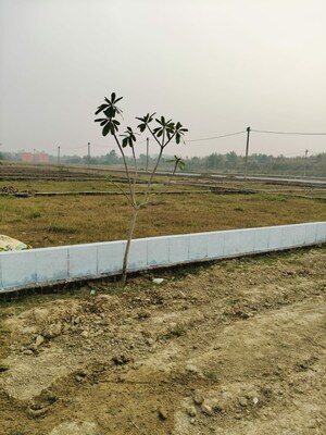  Plot For Sale in Anora Kala