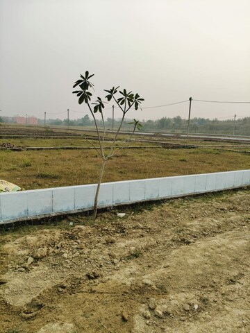 Plot Area in  Plot at Anora Kala – for Sale