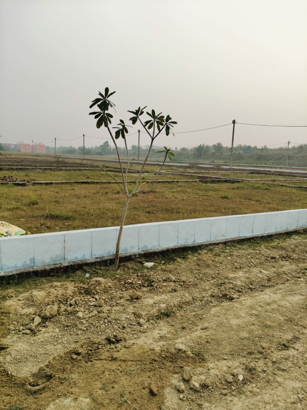 Plot For Sale in Anora Kala