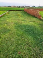 1000 Sq.Ft. Plot in Basant Nagar Colony 