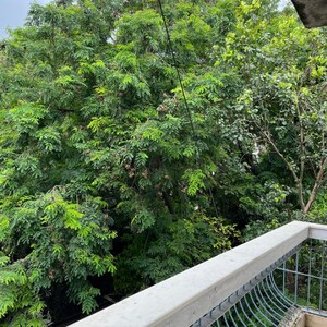 Balcony in 3 BHK Apartment at Malabar Hill – for Rent