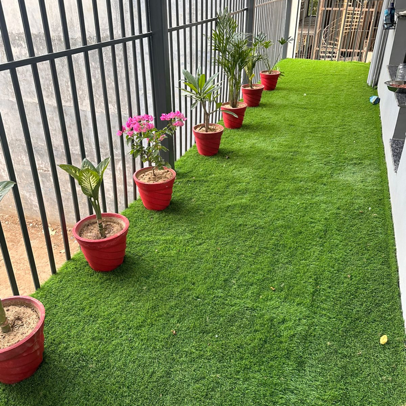 3 BHK + Pooja Room Builder Floor For Rent in Kohli One Malibu Town