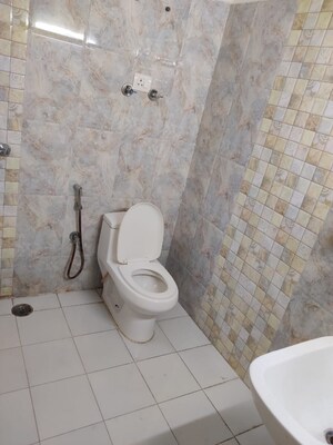 Bathroom in 3 BHK Apartment at Amrapali Terrace Homes, Tech Zone 4 Greater Noida – for Rent