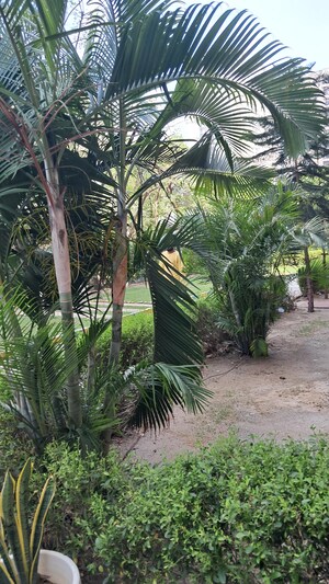 2.5 BHK Apartment – Garden View at Amrapali Princely Estate, Sector 76 - for Sale