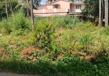 Plot Area in  Plot at Kuttanellur – for Sale