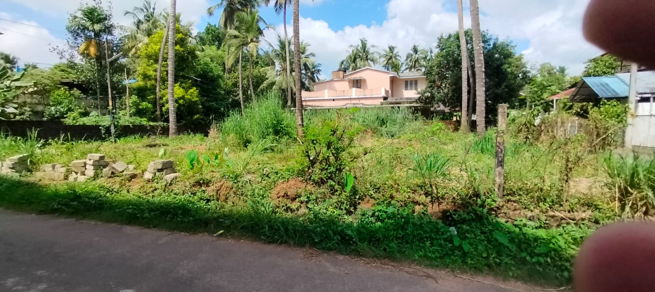 Plot For Sale in Kuttanellur