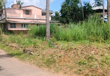 Plot Area in  Plot at Kuttanellur – for Sale