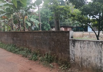 Plot Area in  Plot at Kuttoor – for Sale